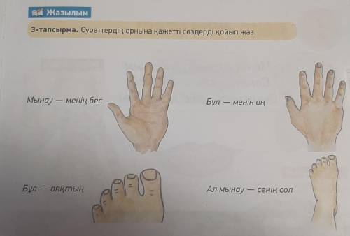 Жазылым 3-тапсырма. Суреттердің орнына қажетті сөздерді қойып жаз.Мынау – менің бес...Бұл – менің оң