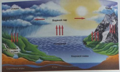 Рассмотрите схему круговорота воды (рис. 97). Подумайте и ответьте, как он происходит в 5-8 предложе