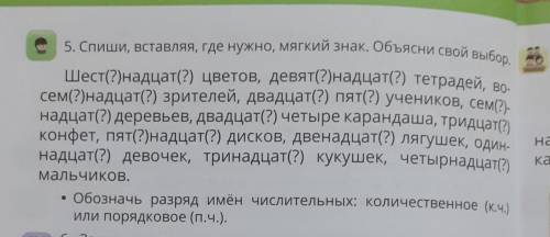 с упражнением обозначьте разряд имён числительных:количественных или порядковых​