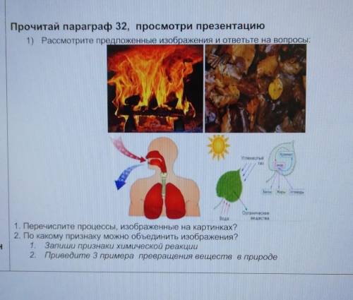 Прочитай параграф 32, просмотри презентацию 1) Рассмотрите предложенные изображения и ответьте на во