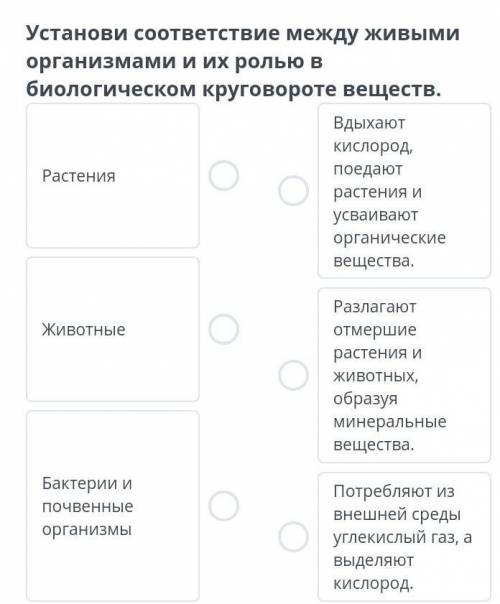 Установите соответствие между живыми организмами и их роль в биологическом круговороте веществ