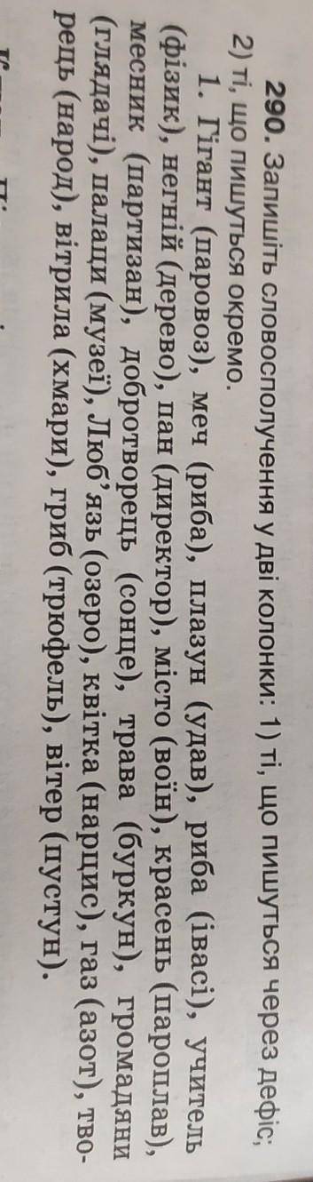 290. Запишіть словосполучення у дві колонки: 1) ті, що пишуться через дефіс; 2) ті, що пишуться окре