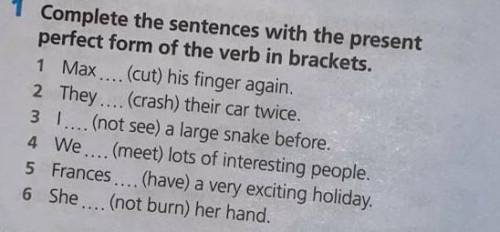 Complete the sentences with the present perfect from of the verb in brackets ​