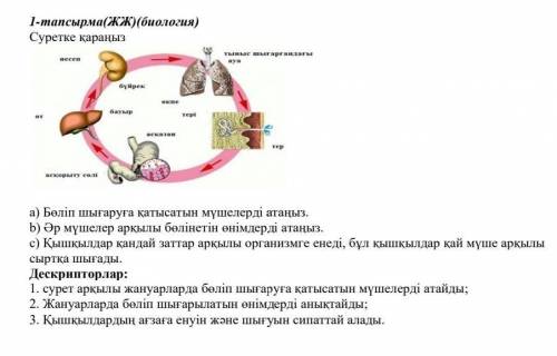 Помагите Только отвечайте провельни если не знаете тогда не отвечайте ​