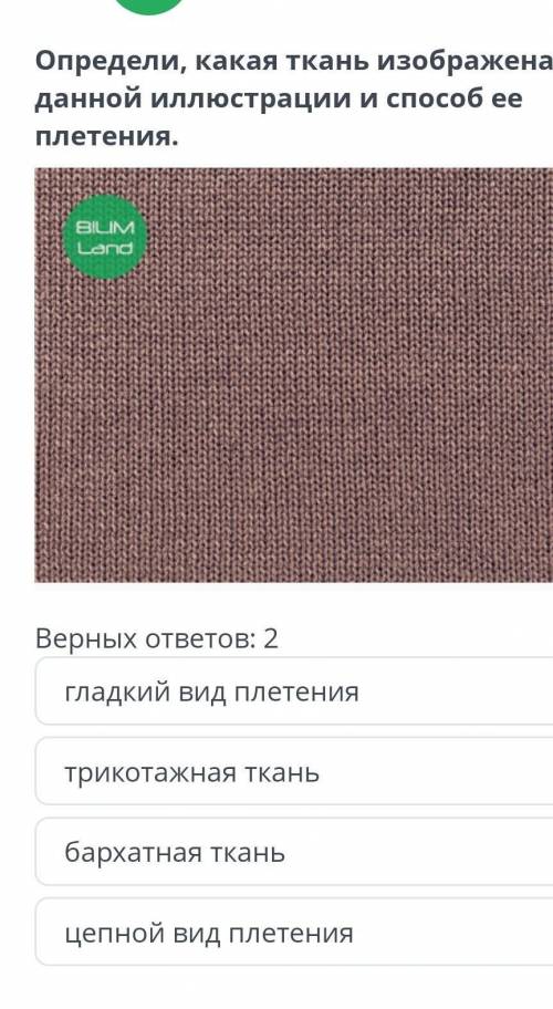 Определи Какая ткань изображена на данной иллюстрации и ее плетение ​