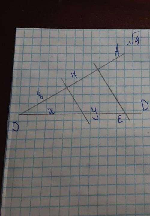 Дано DE=30 Найти : x,y 8 клас геометрия