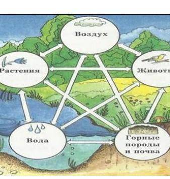 2. Объясните круговорот веществ в биосфере, используя данную схему. БЕЗ СПАМА