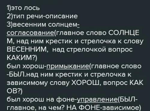 Как он был хорош, весь освещённый весеннимсолнцем! И какой своеобразный облик у этого лесного гигант