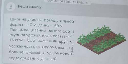 Реши задачу с краткой записью ширина участка прямоугольника формы 40 м длина 60 м при выращивании од