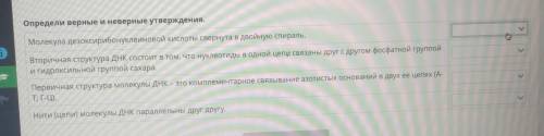 Определи верные и неверные утверждения. Молекула дезоксирибонуклеиновой кислоты свернута в двойную с