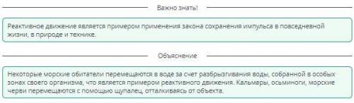 Закон сохранения импульса. Реактивное движение морского червя осьминога медузу кальмара