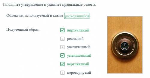 Заполните утверждение и укажите правильные ответы.