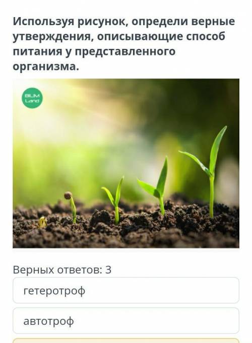 Используя рисунок, определи верные утверждения, описывающие питания у представленного организма. BIU