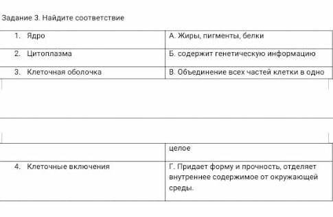 Найдите соответствие ЯдроА. Жиры, пигменты, белкиЦитоплазмаБ. содержит генетическую информациюКлеточ