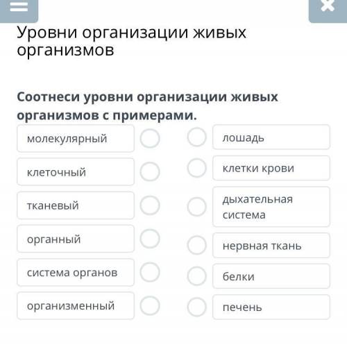 Соотнеси уровни организации живых организмов с примерами