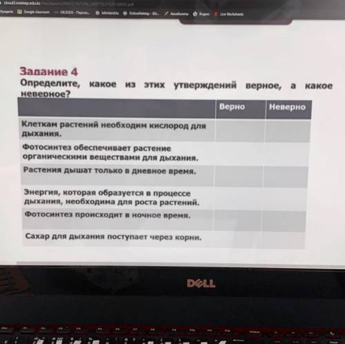 Определите, какое какое из этих утверждений верное, а какое неверное? Верно Неверно Клеткам растений