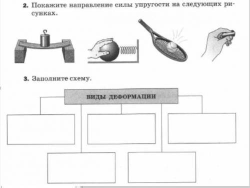 Сила упругости. Покажи силу упругости на следующих рисунках Заполните схему