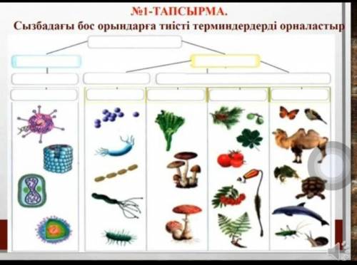 умаляю Жаратылыстану 5-сынып ​