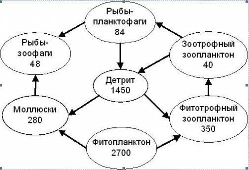 На схеме (рис. 13) показана трофическая сеть Северного моря, на которой цифрами отмечены количества