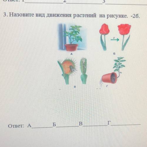 3. Назовите вид движения растений на рисунке