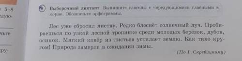 Выборочный диктант. Выпишите глаголы с чередующимися гласными в Пег уже сбросил листву. Редко блесне