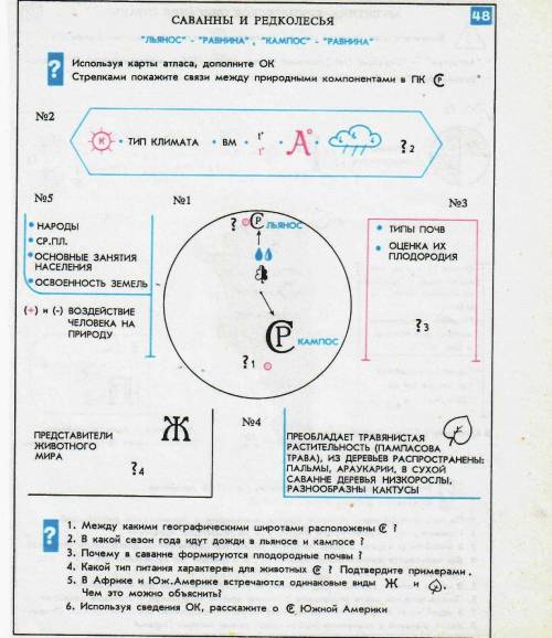 Нужно ответить на вопросы в конце страниц.