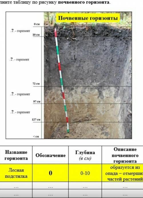Заполните таблицупо рисунку почвеного горизонта.