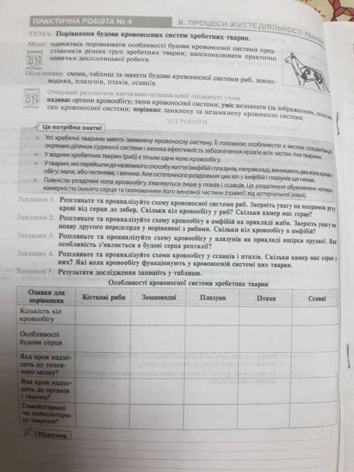 биология только нормальни ответи не нормальни ответи буду банить. табличку