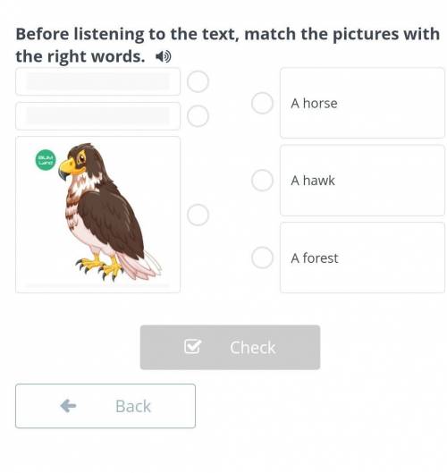 The Last of the Mohicans (Chapter 2) Before listening to the text, match the pictures with the right