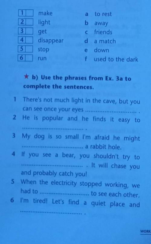 Use the phrases from ex 3a to complete the sentences ​