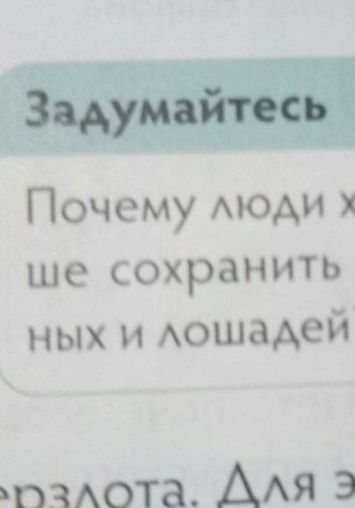 Почему люди хотели дольше сохранить тела покойных лошадей бельгийские курганы номер Дам лучший ответ