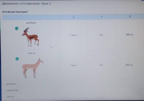 Движение с отставанием. Урок 2 Кто бегает быстрее?tSДжейран? KM/48ч480 кмсайгак2 км/ч4 ч320 кмДжейра