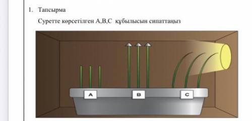 1. Тапсырма Суретте көрсетілген А,В,С құбылысын сипаттаңыз это очень
