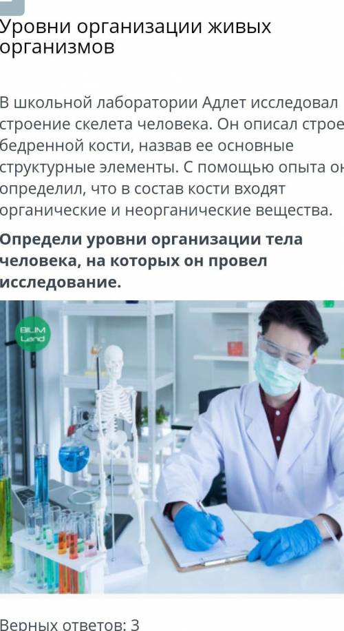 Уровни организации живых организмов Верных ответов: 3клеточныйорганизменныйорганныйсистема органовтк