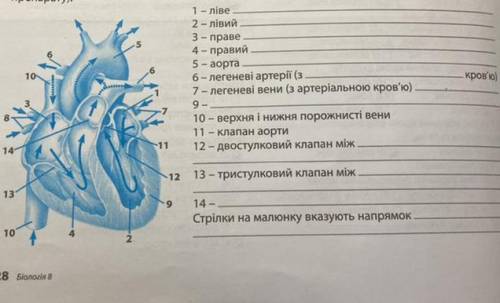 До ть треба підписати малюнок сердця згідно з цифрами