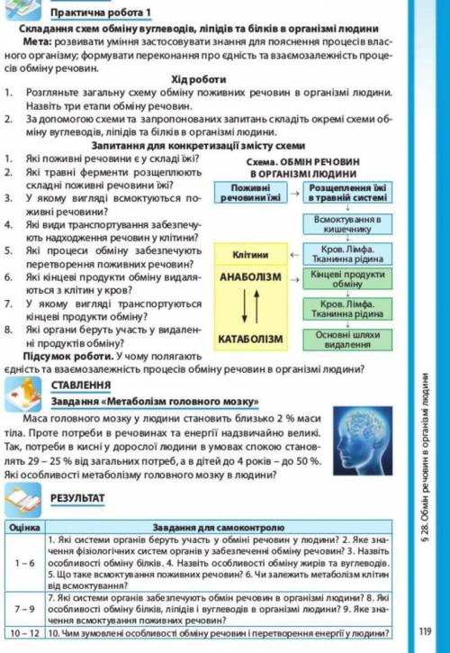 Практична робота 1 Складання схем обміну вуглеводів, ліпідів та білків в організмі людини​