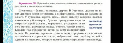 прочетайте текст выпишите именные словосотетания укажите род падеж и число прилагательных