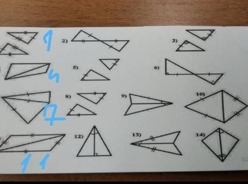 П. ж. найдите равенство треугольников