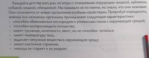 Каждый в детстве хоть раз, но играл с плюшевыми игрушками: мишкой, зайчиком, собакой, кошкой, обезья