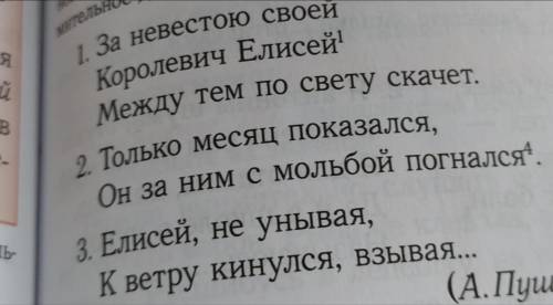 Подчеркните грамматические основы в предложение