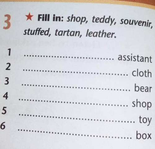 Fill in: shop, teddy, souvenir, stuffed, tartan, leather. 1) assistant2) cloth3) bear4) shop5)toy6