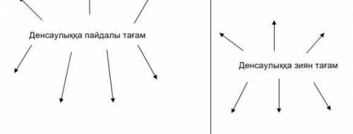 22-бет, 1-тапсырма Екі диаграмманы толтыр. Бірінші диаграммаға денсаулыққа пайдалы тағамды жаз. Екін