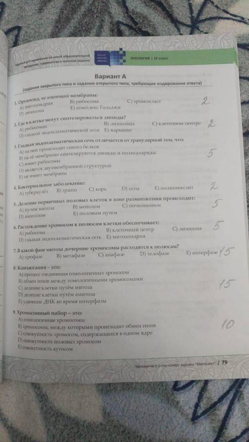 с БСО это для меня очень важно