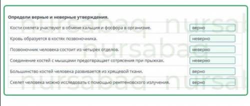 Вставь в текст пропущенные слова, выбрав их из выпадающих списков. Опорно-двигательная система челов