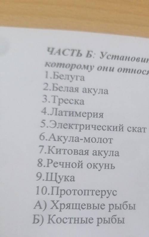 Установите соответствие между представителями рыб и Клаусом к которому они относятся​