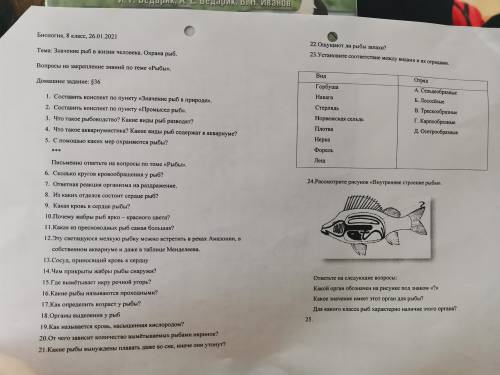 Самостоятельная работа по Биологии. Значение рыб в жизни человека.Д/з не обязательно, но желательно.