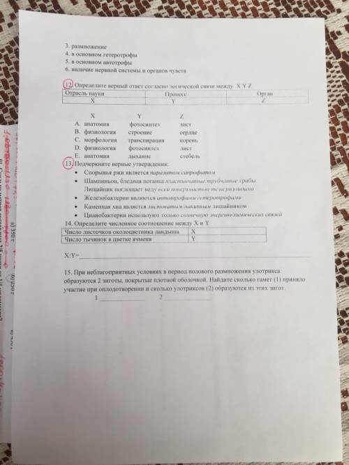 Решите все задание только которые красным обозначены только быстро очень быстро