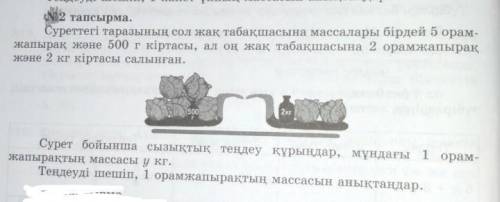 суреттеги тазарынын сол жак табакшысына массалары бирдей 5 орамжапырак Жане 500 г кыртасы, ал он жак