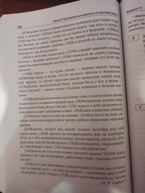 Сочинение 9.3. По книге Сениной, вариант 11