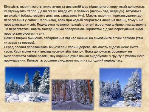 ЗАЗНАЧТЕ ОСНОВНІ ЗОВНІШНІ ПРИСТОСУВАННЯ ХРЕБЕТНИХ ТВАРИН ДО ЖИТТЯ В РІЗНИХ УМОВАХ СЕРЕДОВИЩА